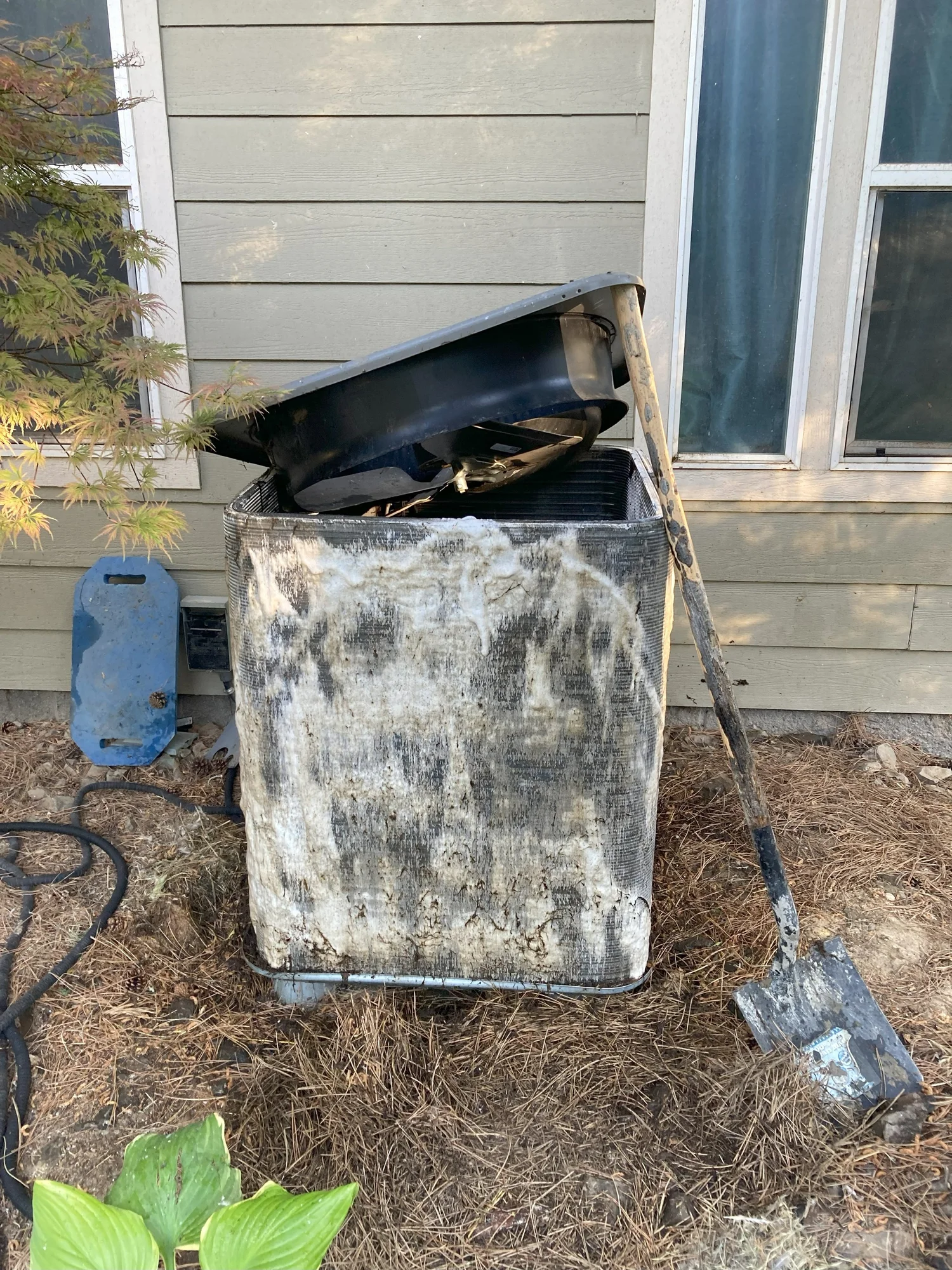 Cleaning service — before